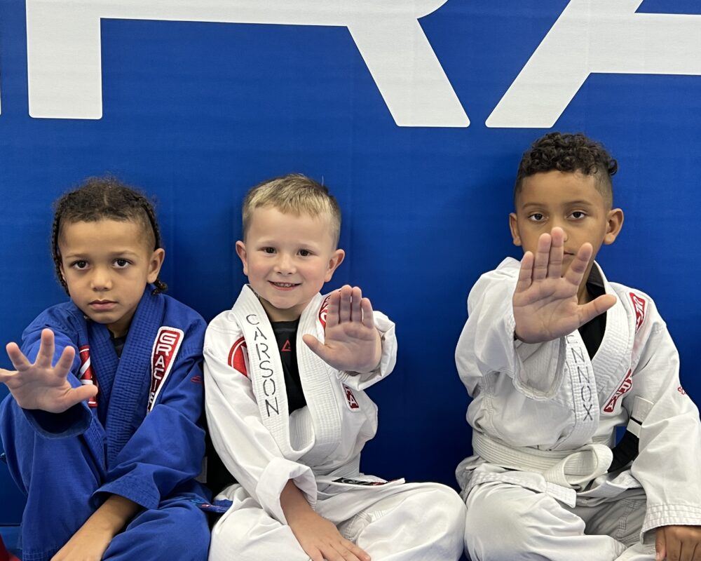 How Jiu-Jitsu Can Help Combat Bullying? 